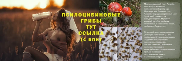 mdpv Елабуга
