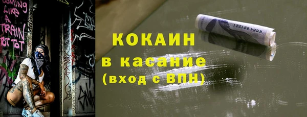 дмт Дмитров