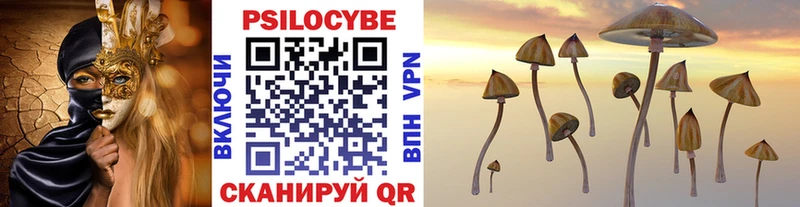 Купить  Дивногорск  Псилоцибиновые грибы GOLDEN TEACHER 